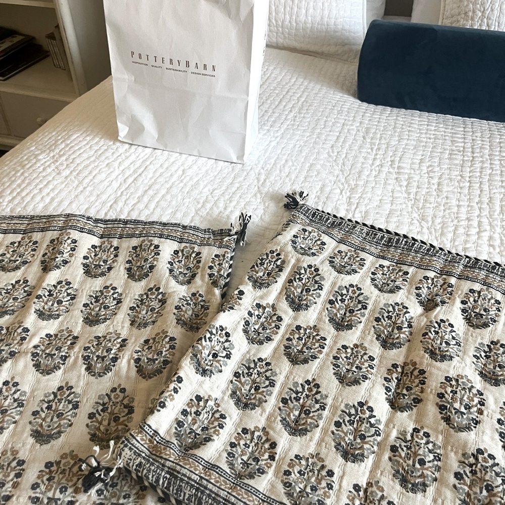Pottery Barn Throw Pillow covers two - like new